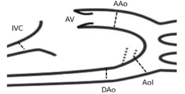 dimensiones_cavas_dibujo
